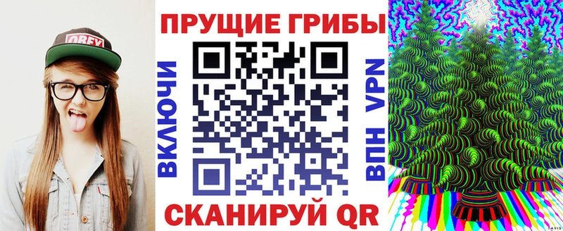 Галлюциногенные грибы GOLDEN TEACHER  купить закладку  мега зеркало  Кувандык 