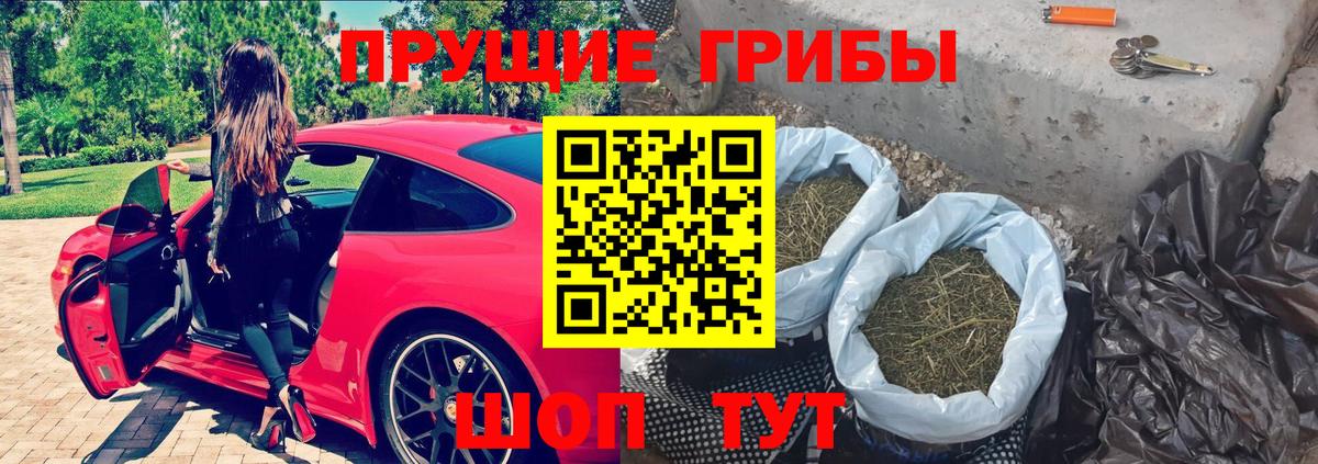 Псилоцибиновые грибы Cubensis  Вход с VPN  Кувандык 